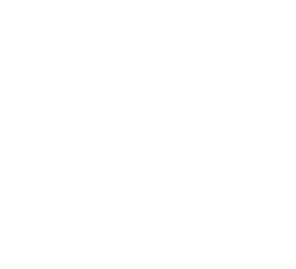 Logo Ned Marine